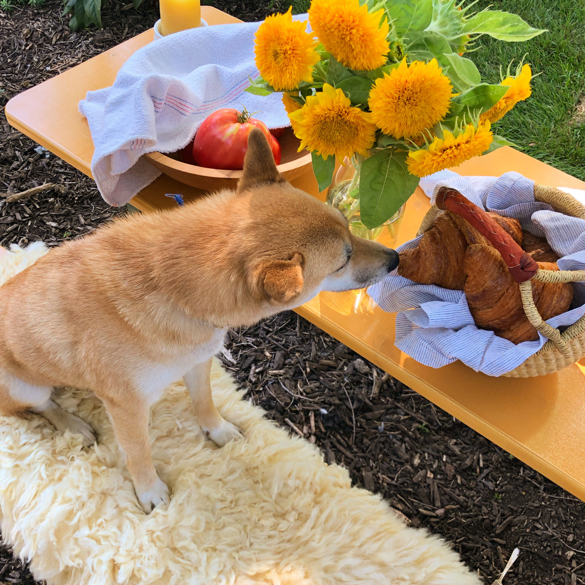 Natural White Rustic Sheepskin