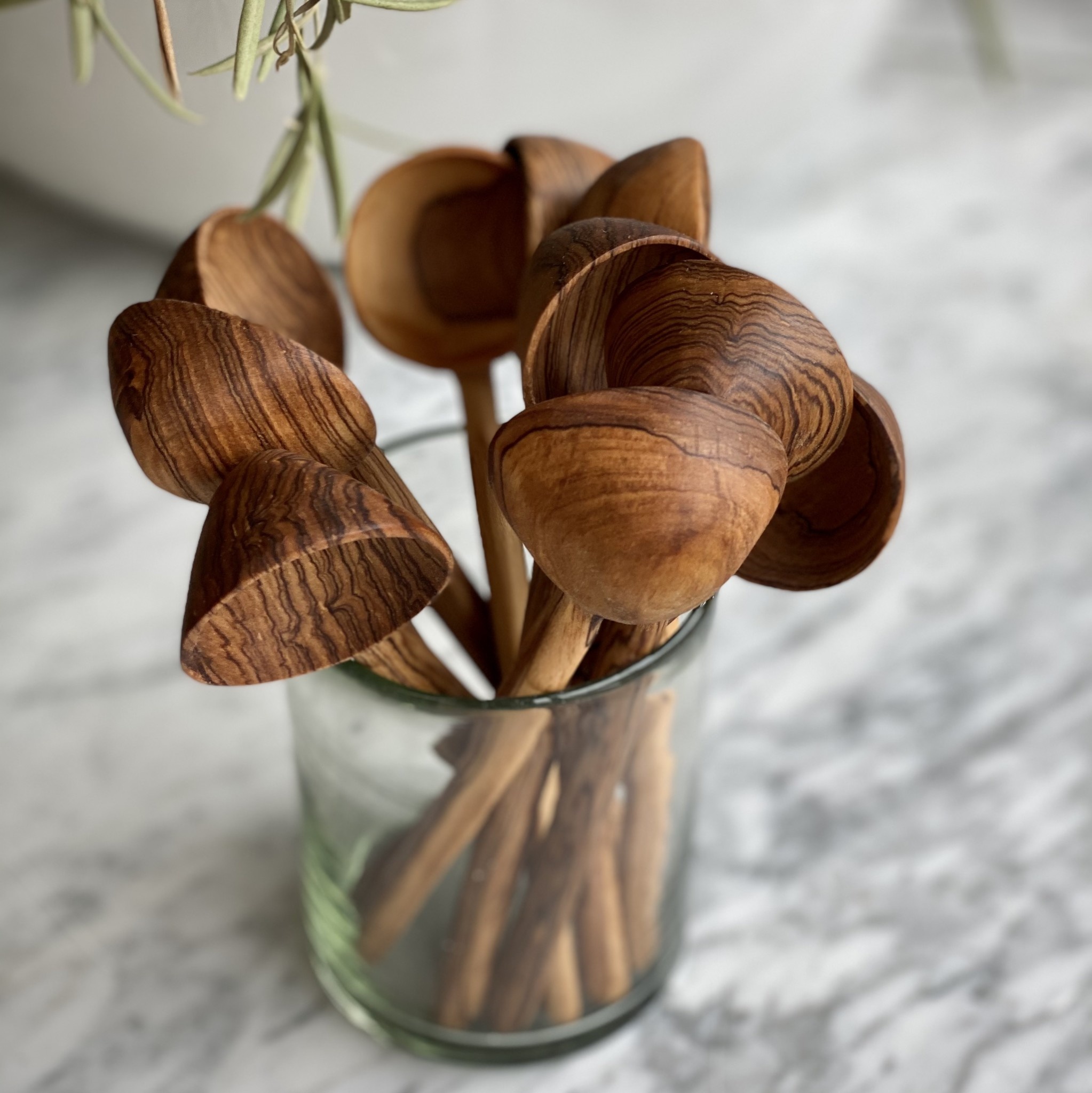 Kenyan Wild Olivewood Round Coffee Scoop - 6.5"