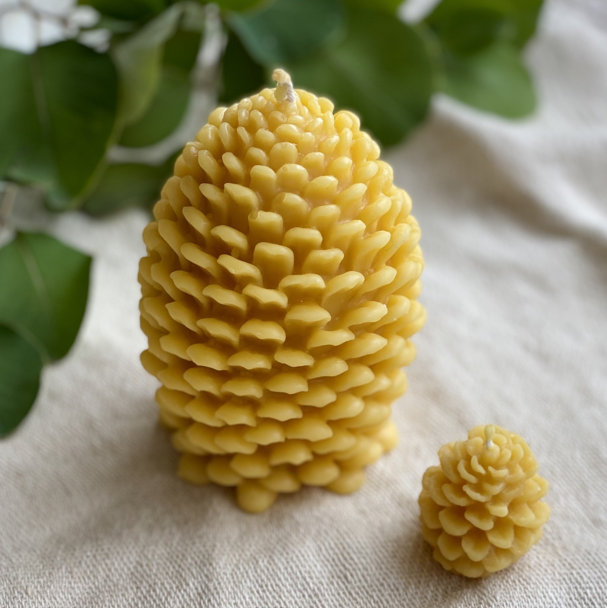 Old Mill Candles Beeswax Pinecone Mini