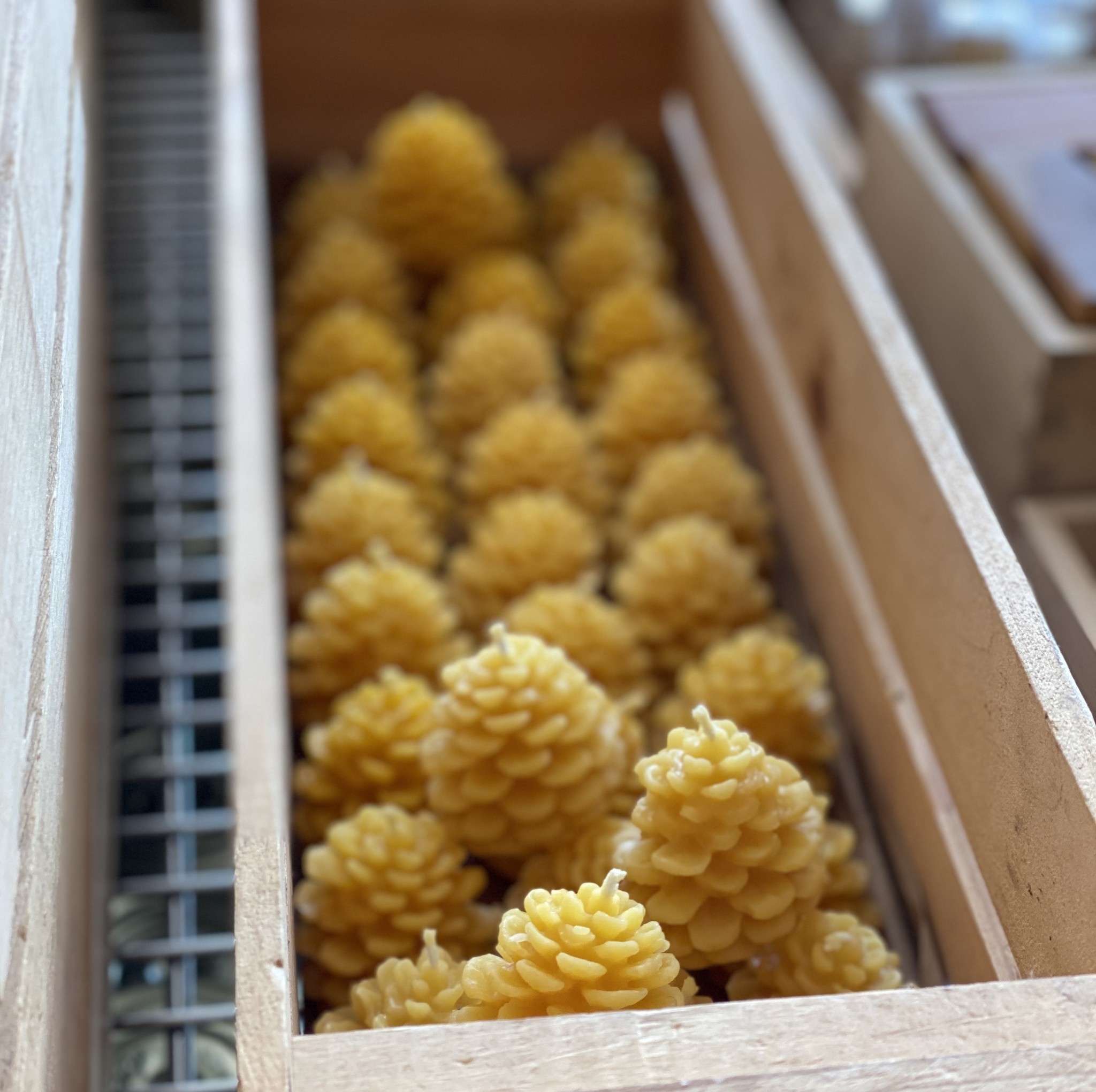 Old Mill Candles Beeswax Pinecone Mini