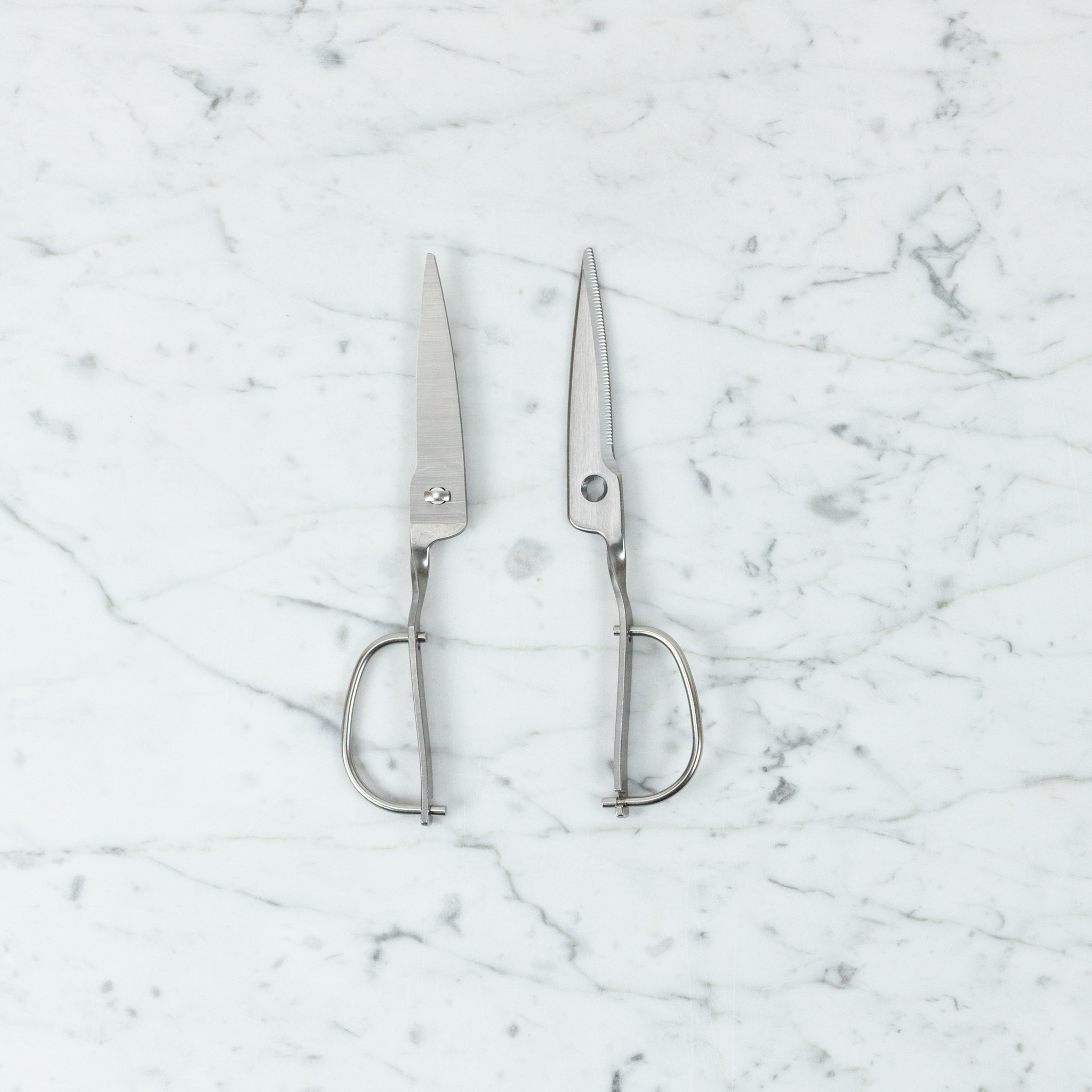 Toribe Stainless Kitchen Scissors