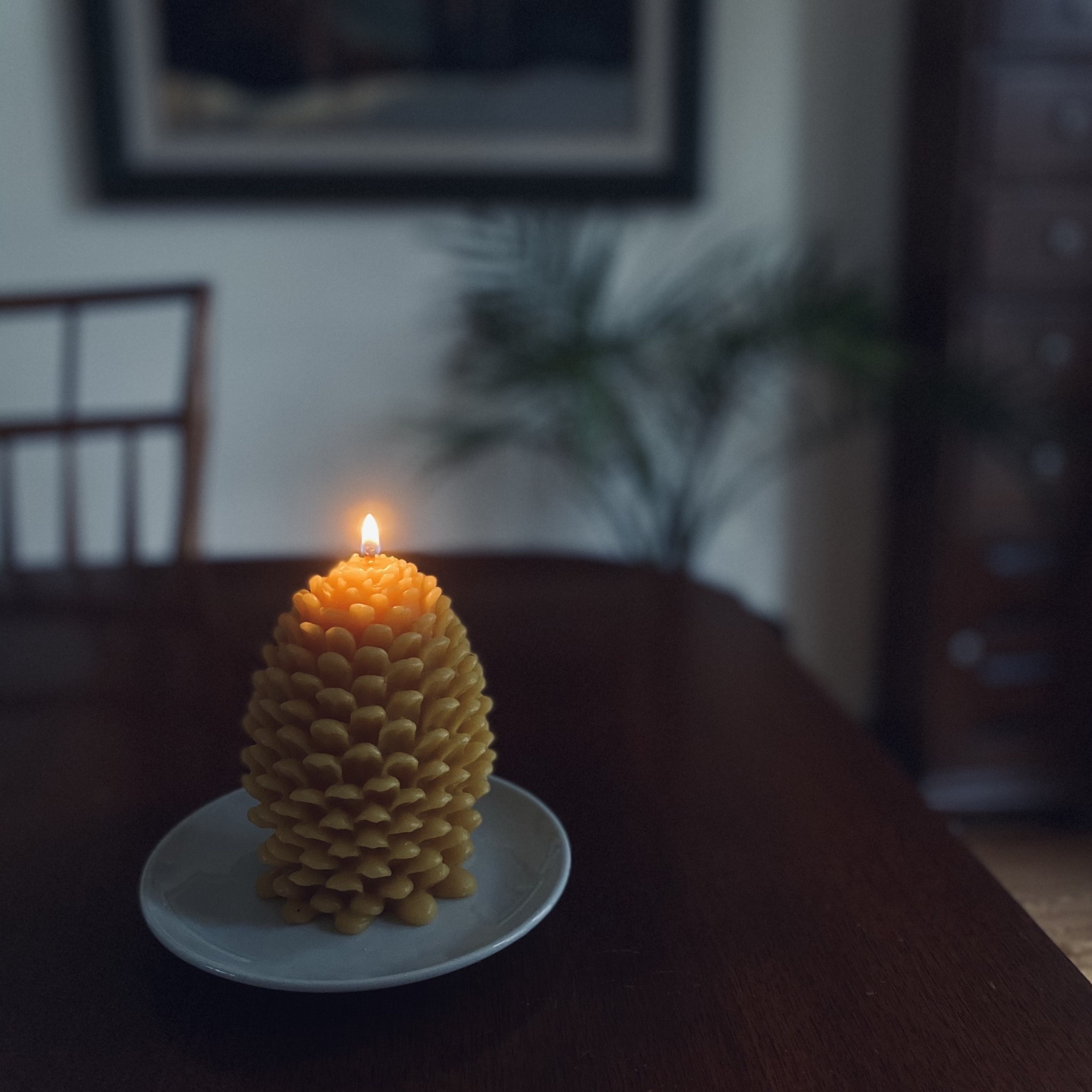Old Mill Candles Beeswax Pinecone Jumbo