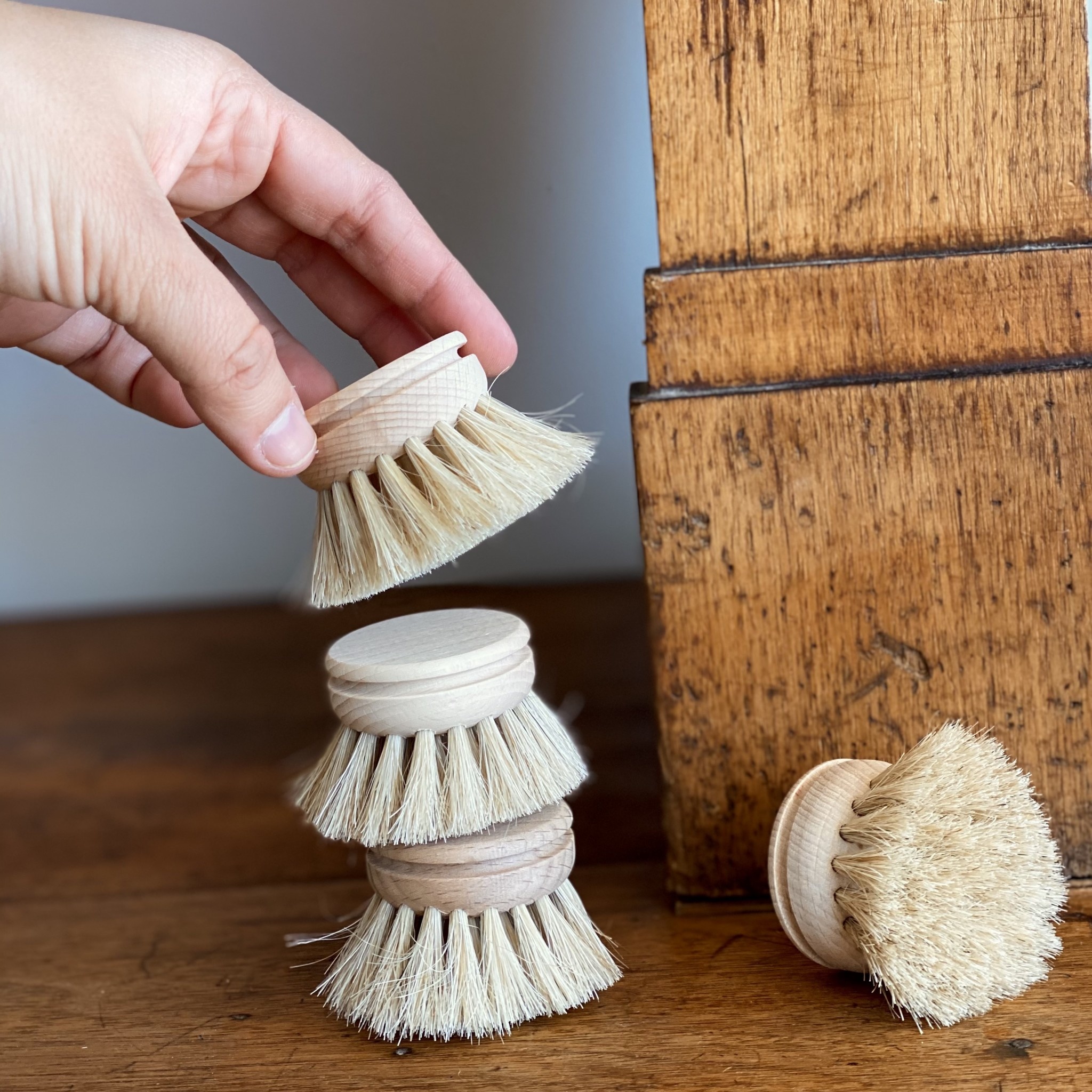 Iris Hantverk Round Replacement Head for Swedish Everyday Dish Brush - Soft Bristle