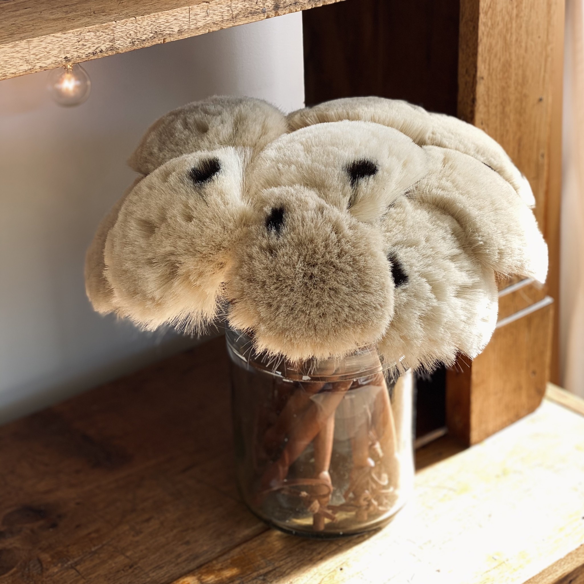 German Goat Hair Dust Brush with Black Spot - 13.5"