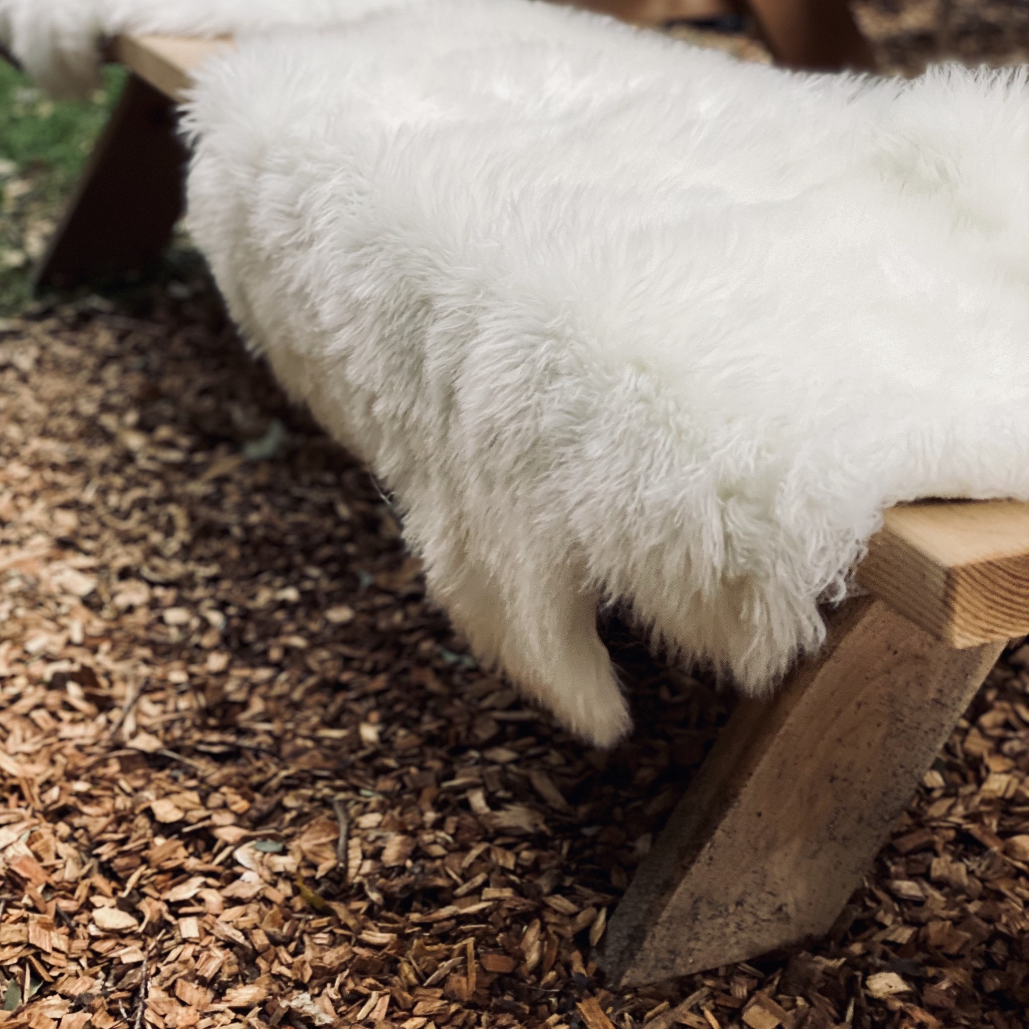 Tierra del Fuego Rustic Sheepskin - Cream