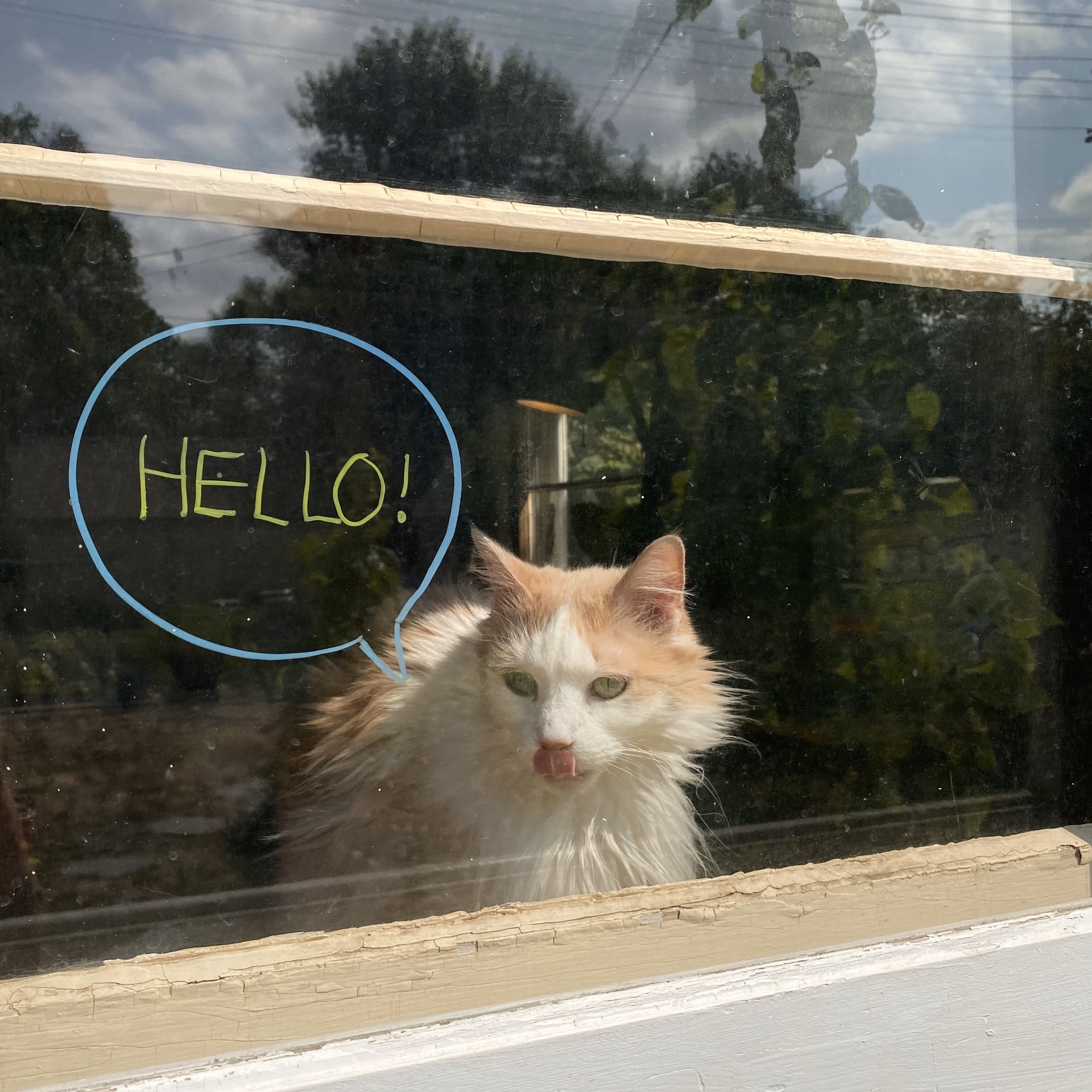 Stabilo Woody 3 in 1 Pencil - Ultramarine Blue #405