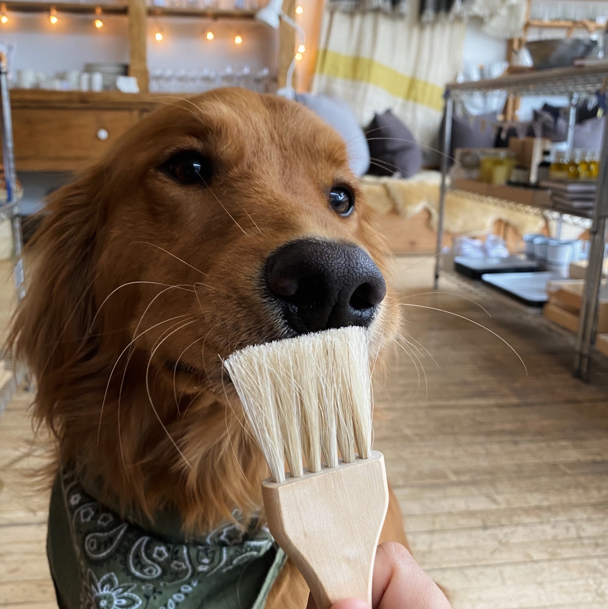 Iris Hantverk Swedish Pastry Brush