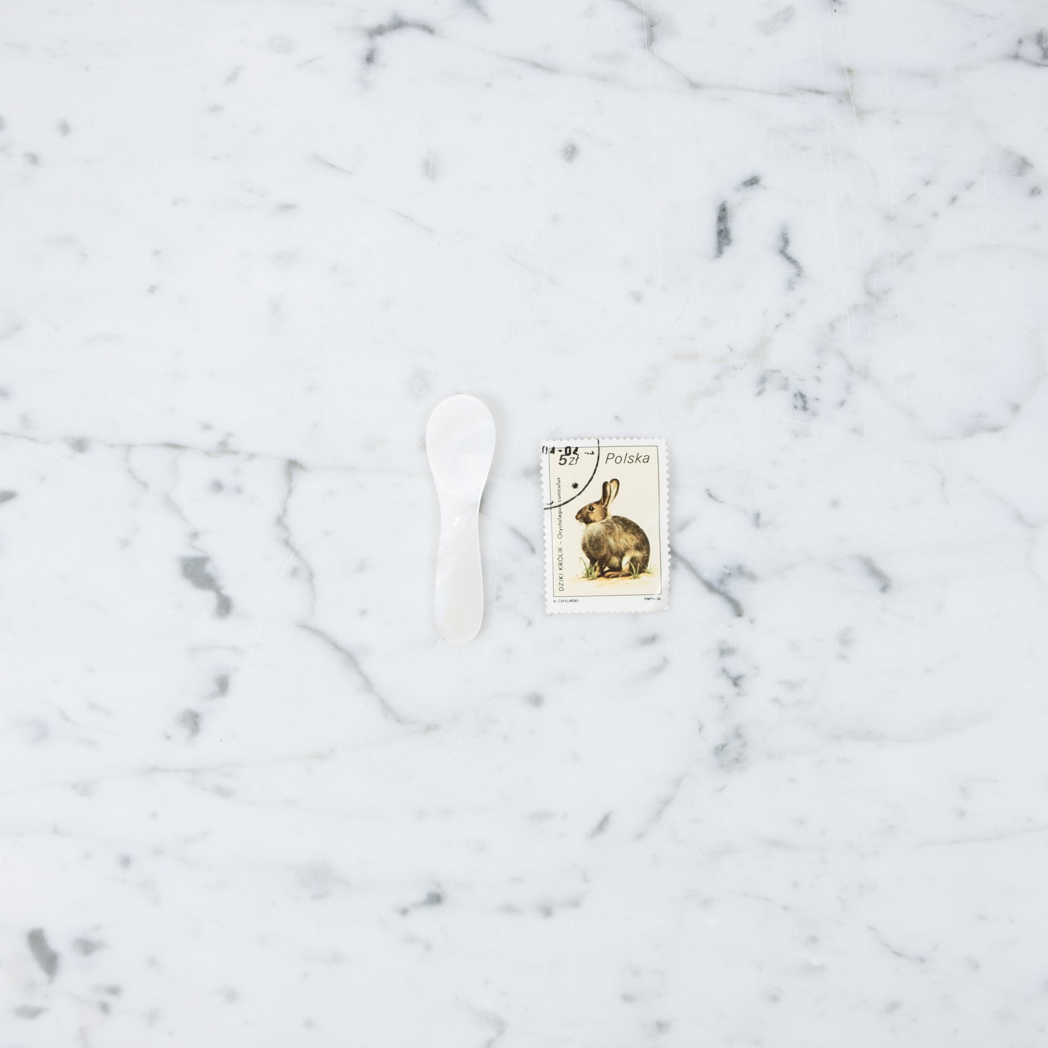 Sea Shell Mini Spoon - 2"