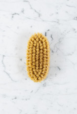 Little Oval Handleless Shoe or Cleaning Brush - Stiff Tampico Bristles