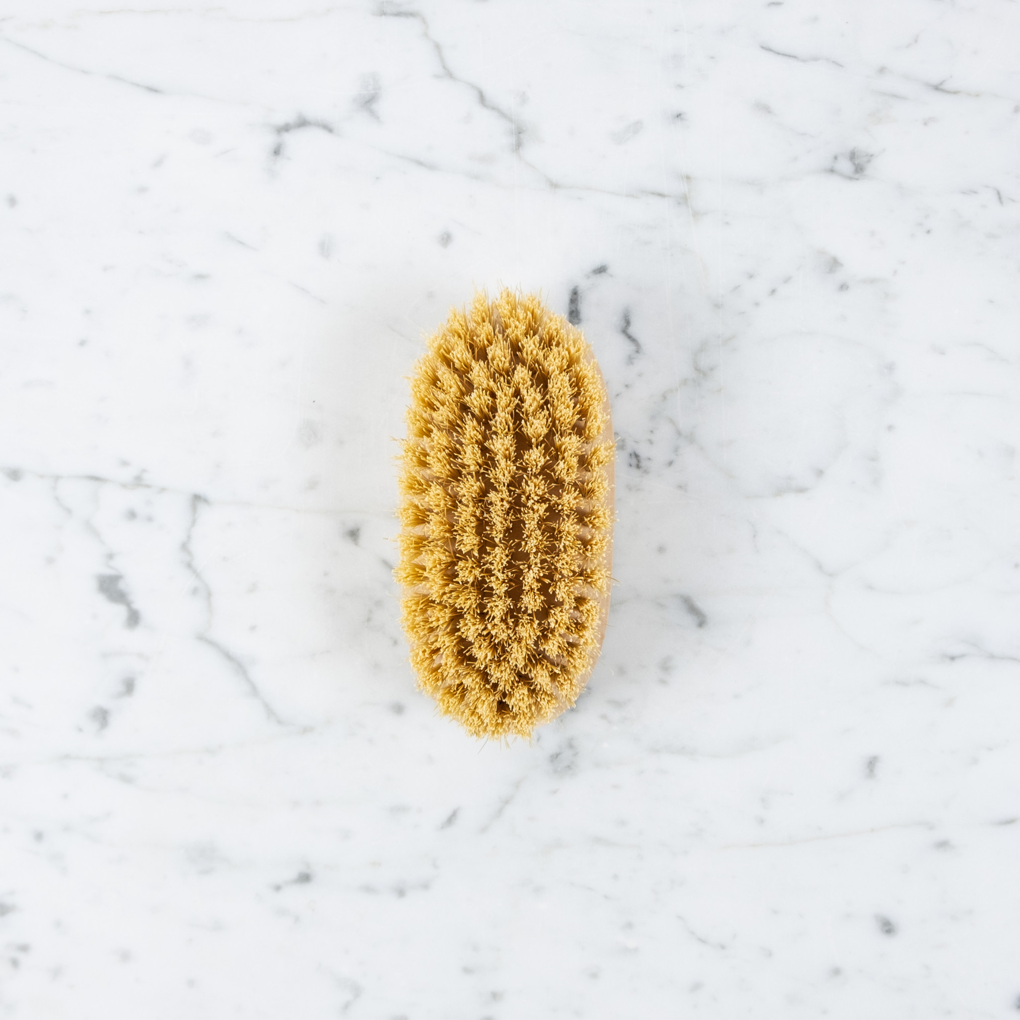 Little Oval Handleless Shoe or Cleaning Brush - Stiff Tampico Bristles