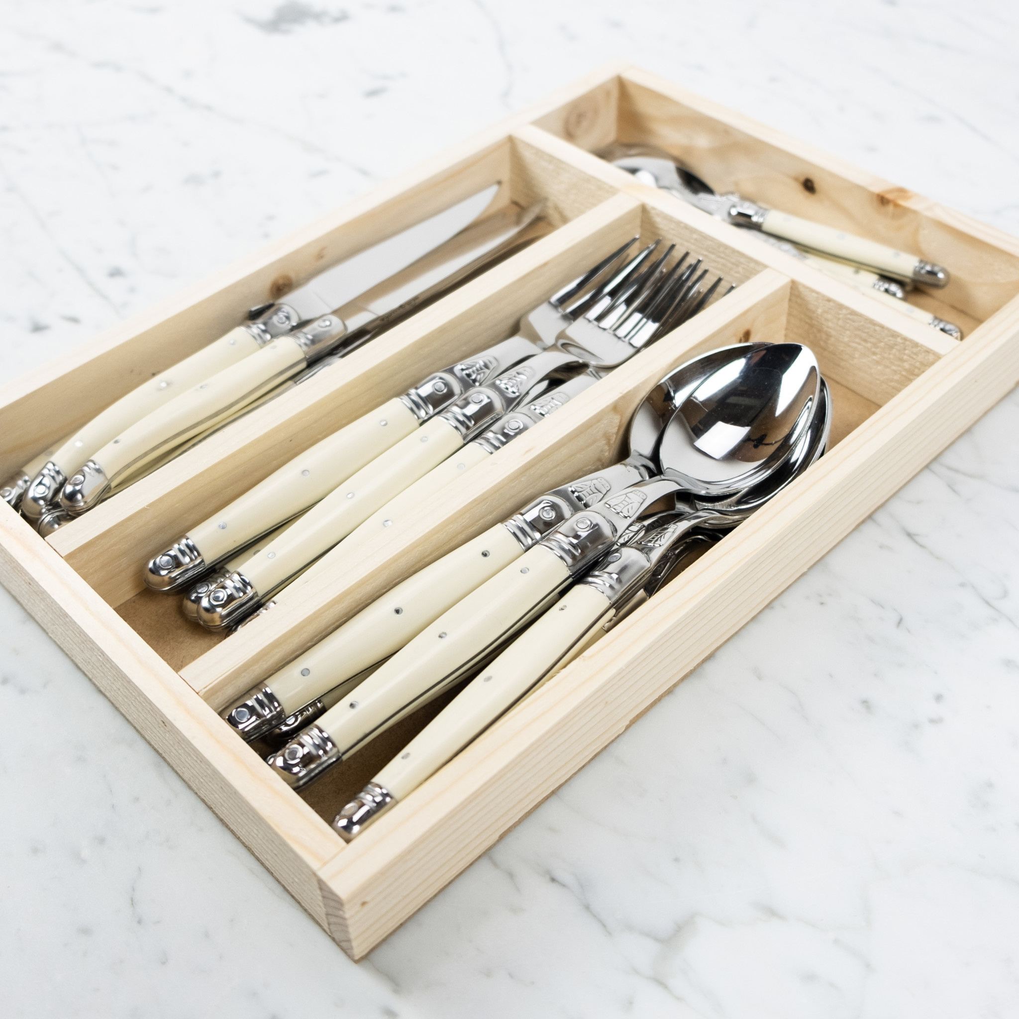 Jean Dubost 24 Piece Everyday Flatware Set with Ivory Handles
