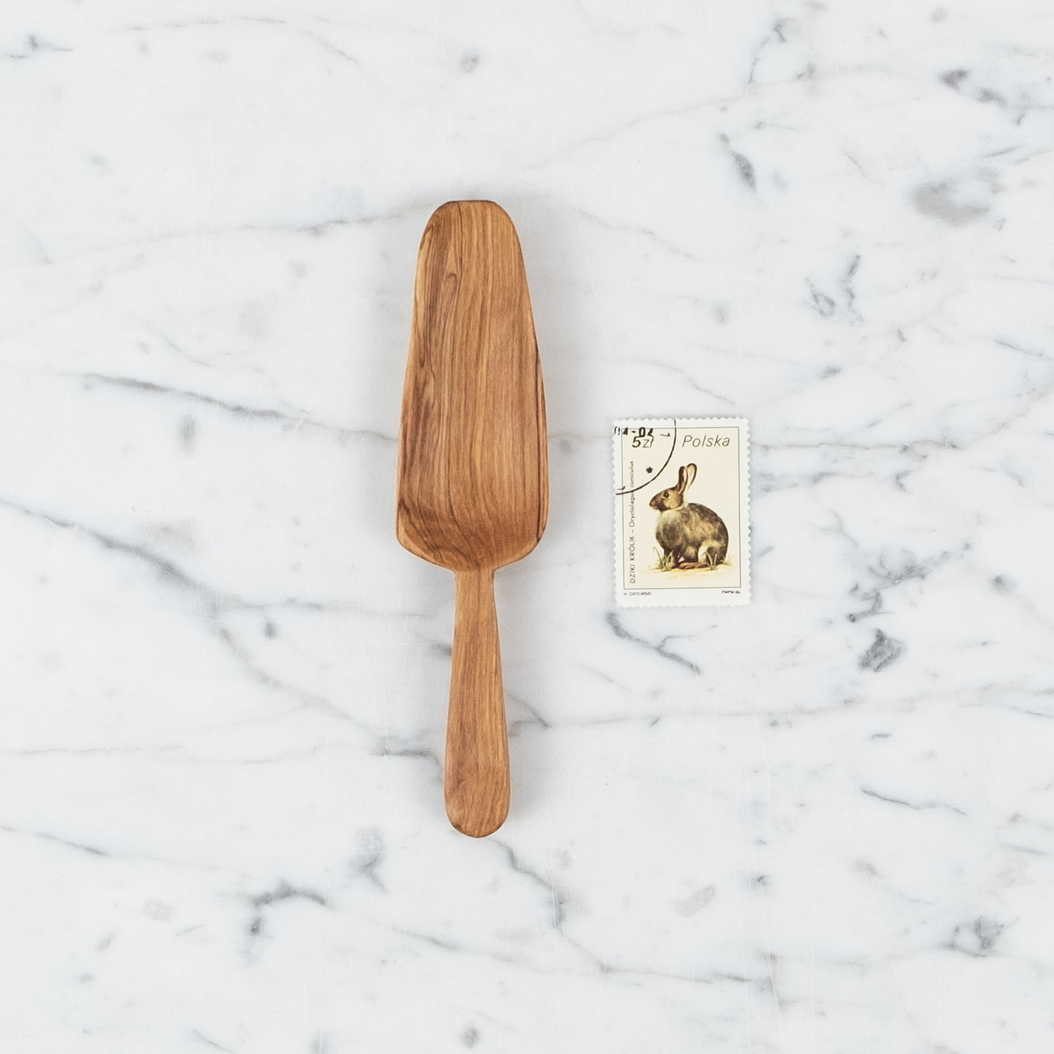 Wild Olivewood Bin Scoop - 6"