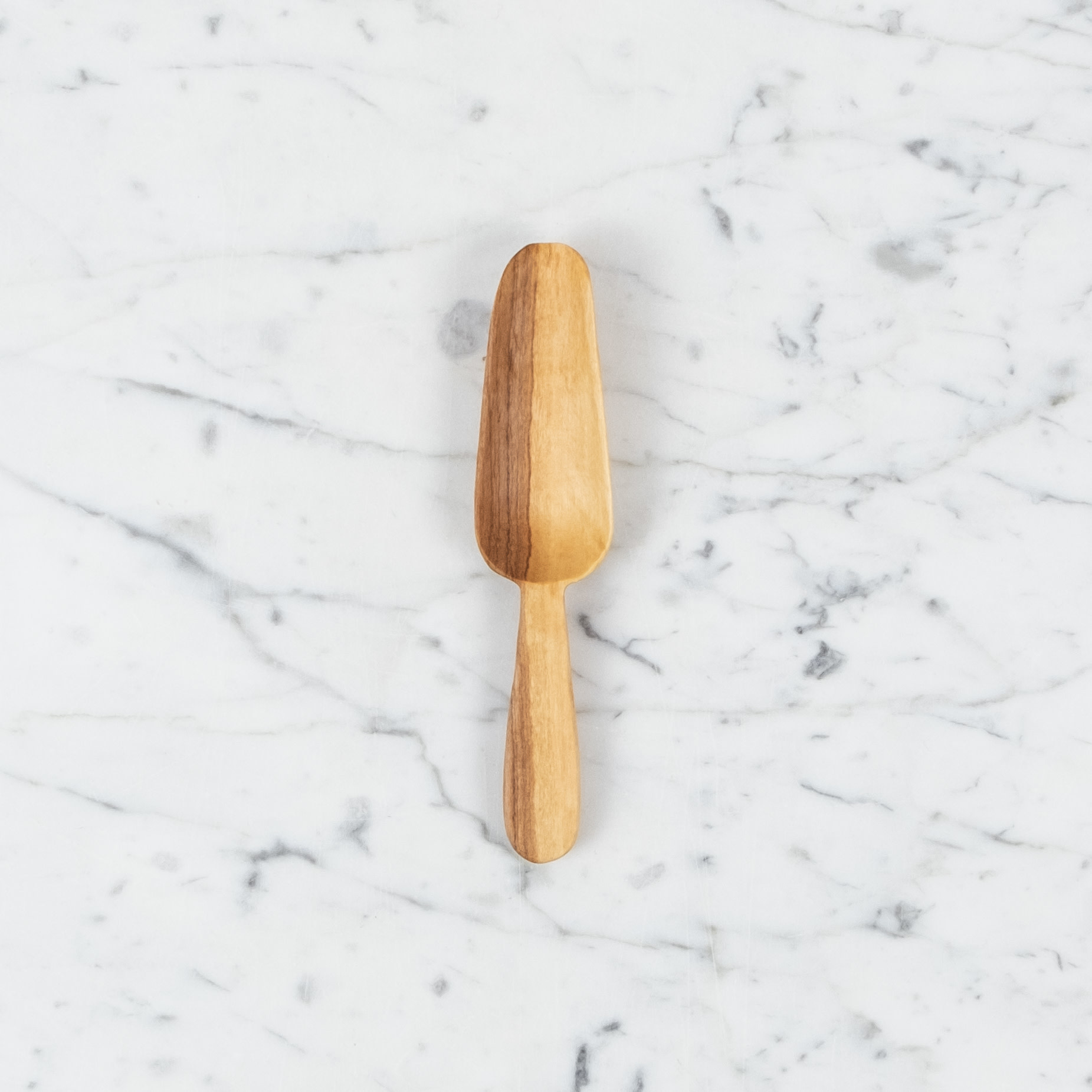 Wild Olivewood Bin Scoop - 6"