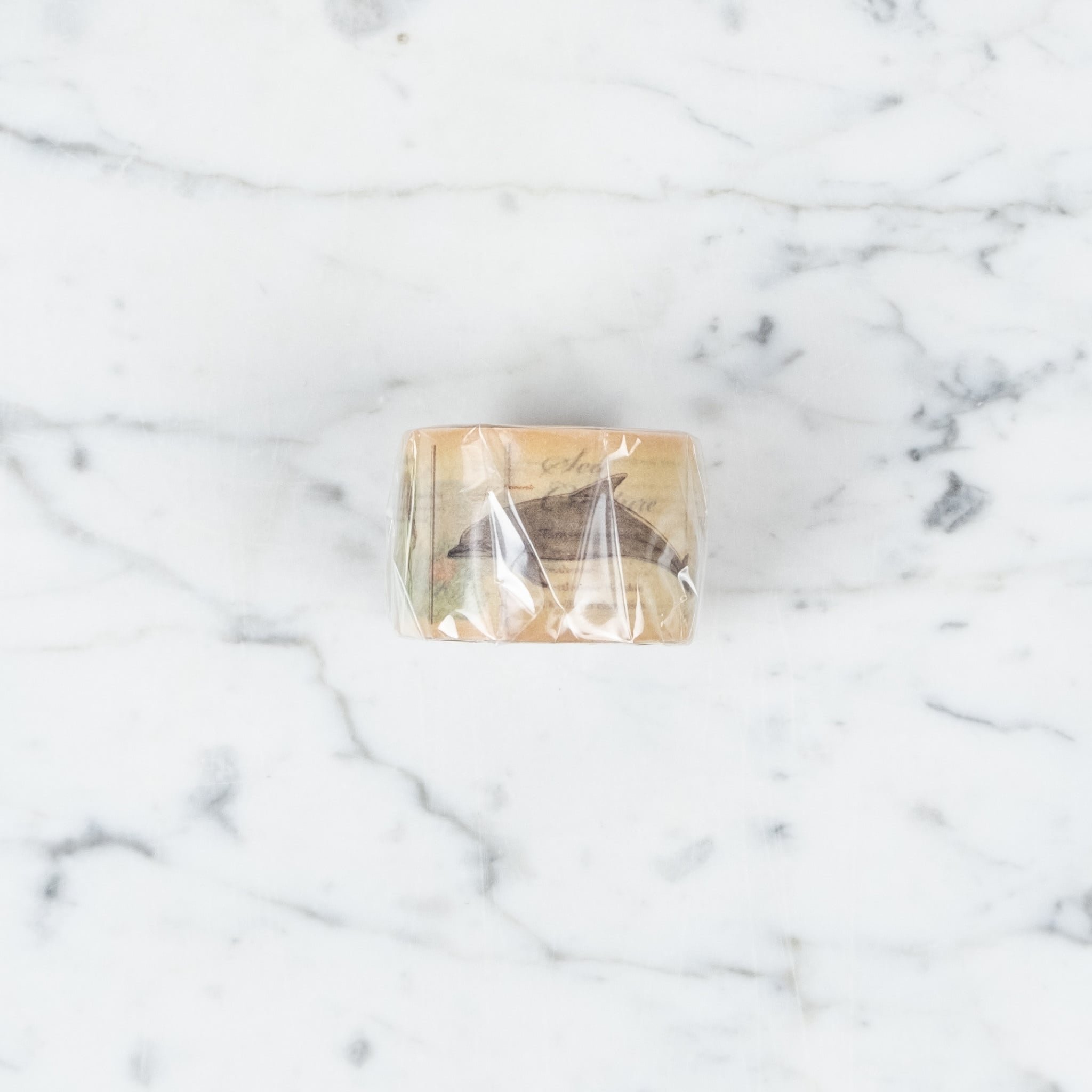 Washi Tape Single: Marine Creatures