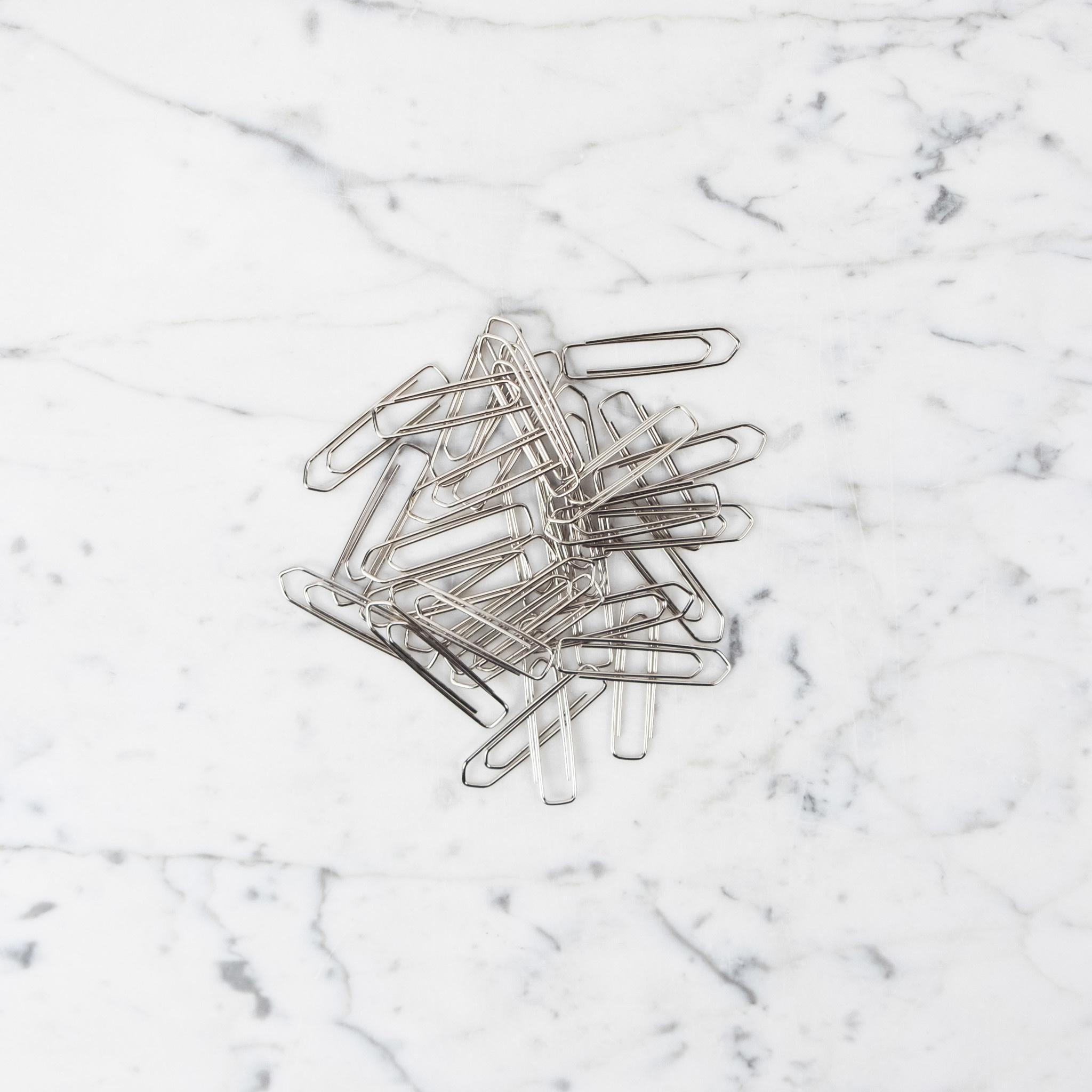 Leone Dell’Era Leone Nickel Plated Paper Clips, Box Of 100 - Size 5