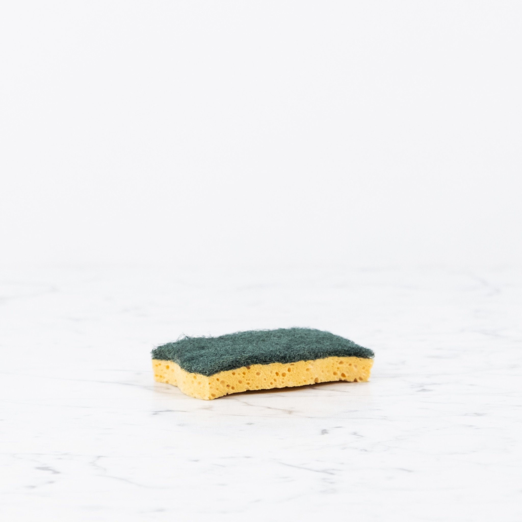 Recycled Vegetable Sponge
