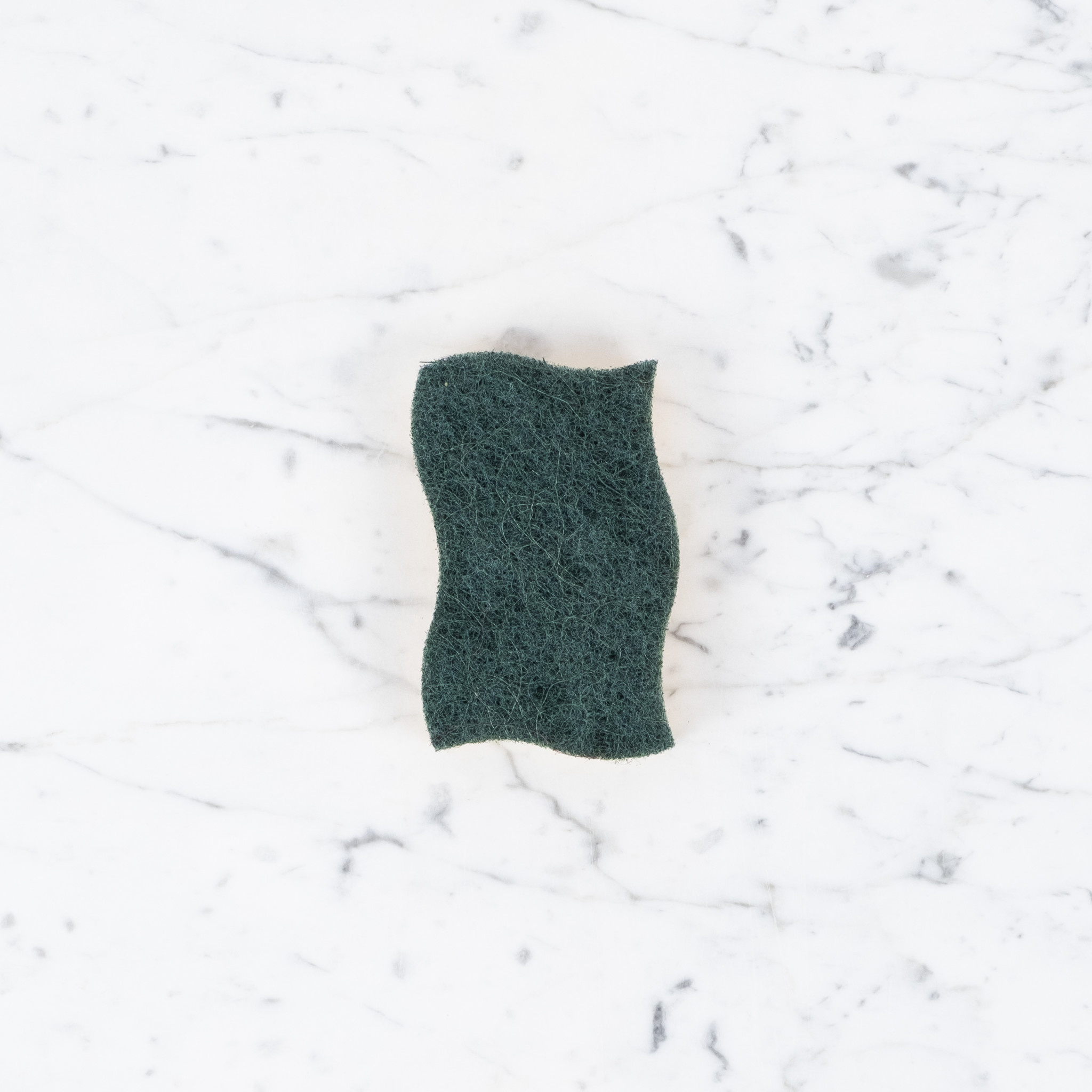 Recycled Vegetable Sponge