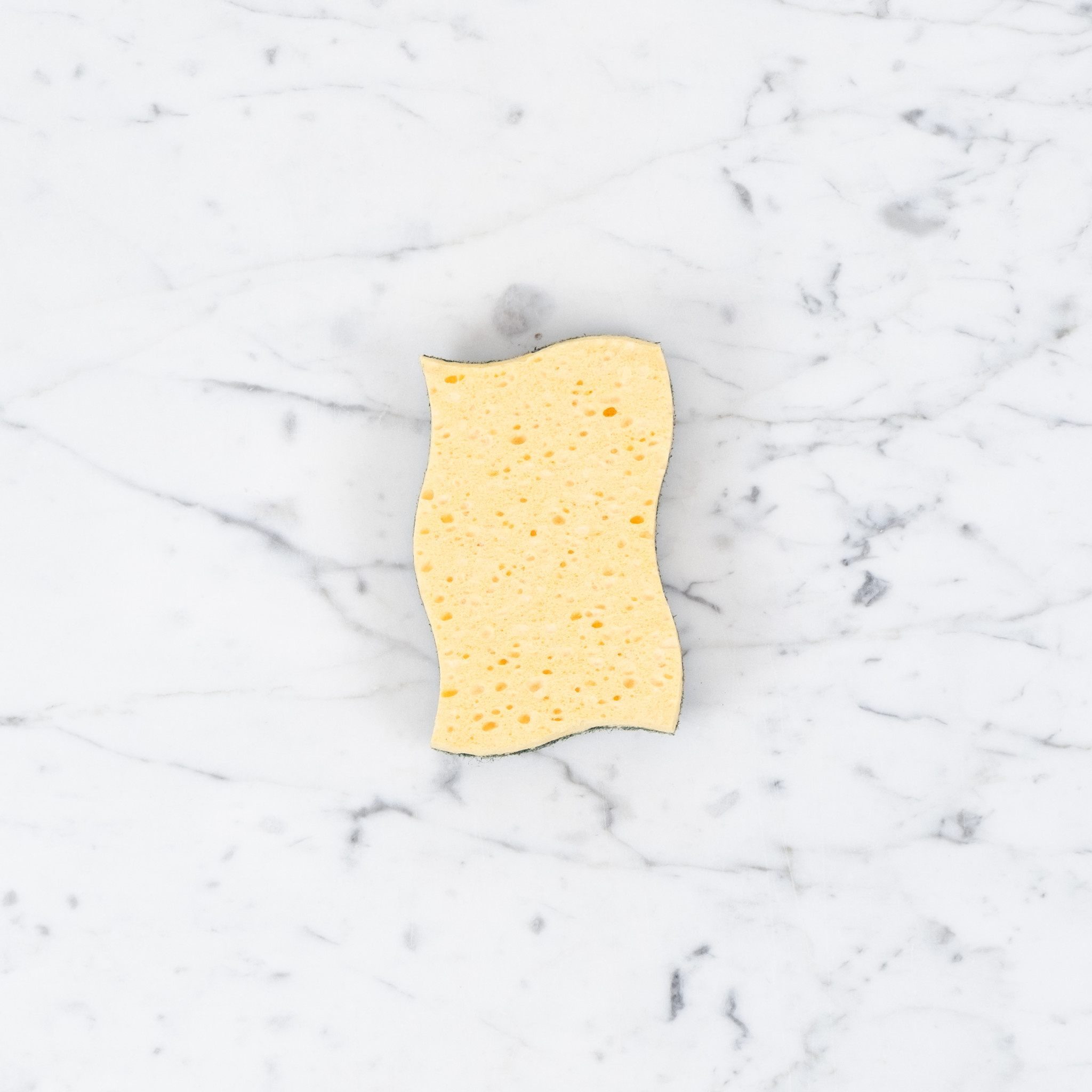 Recycled Vegetable Sponge