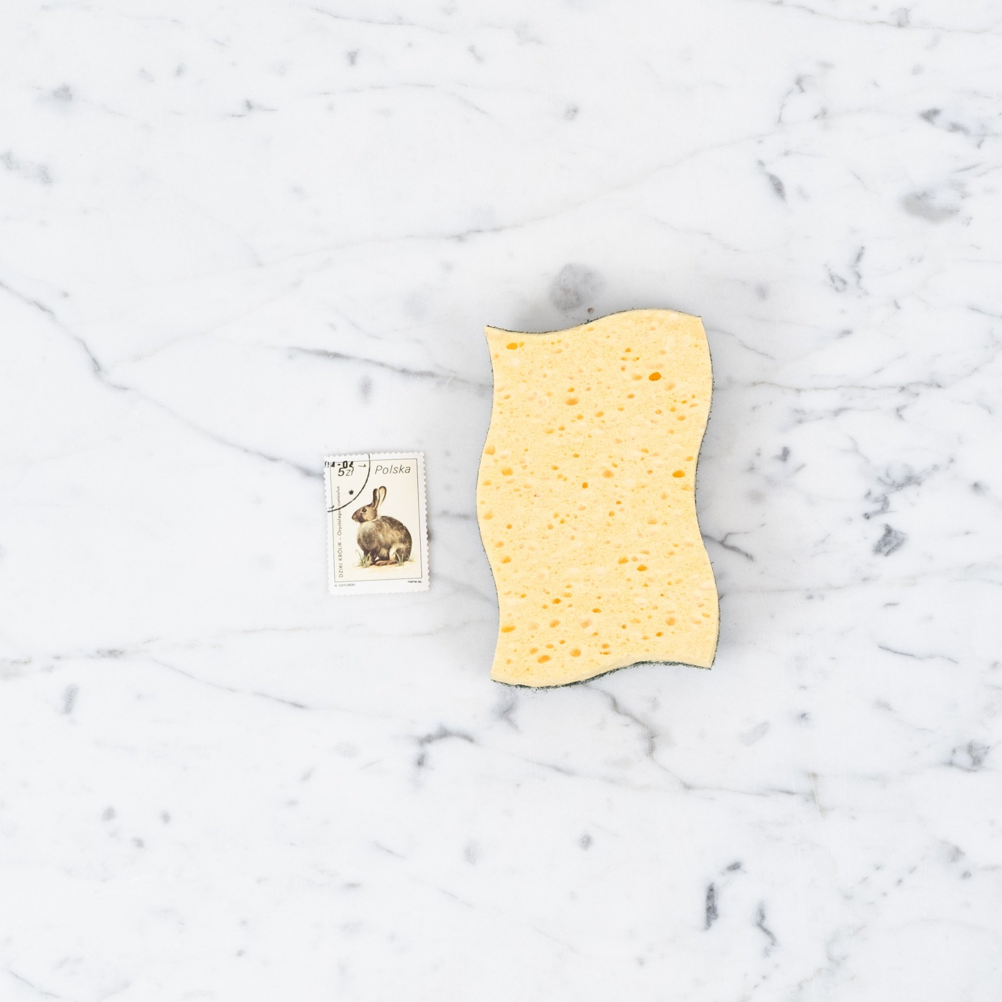 La Corvette Savon de Marseille Recycled Vegetable Kitchen Sponge