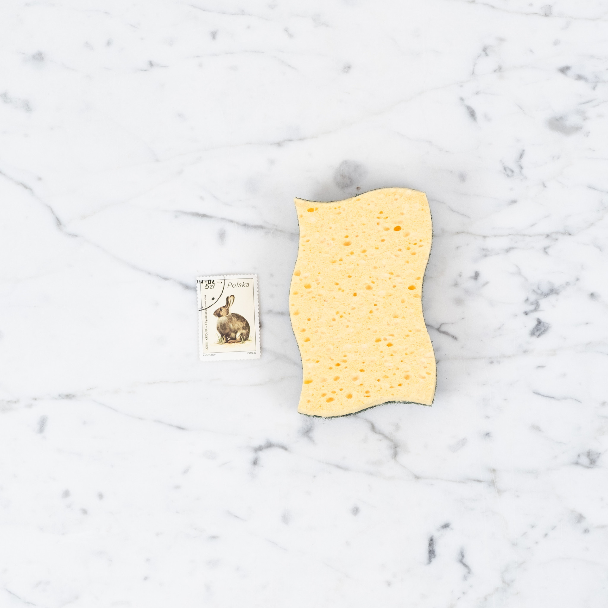 Recycled Vegetable Sponge