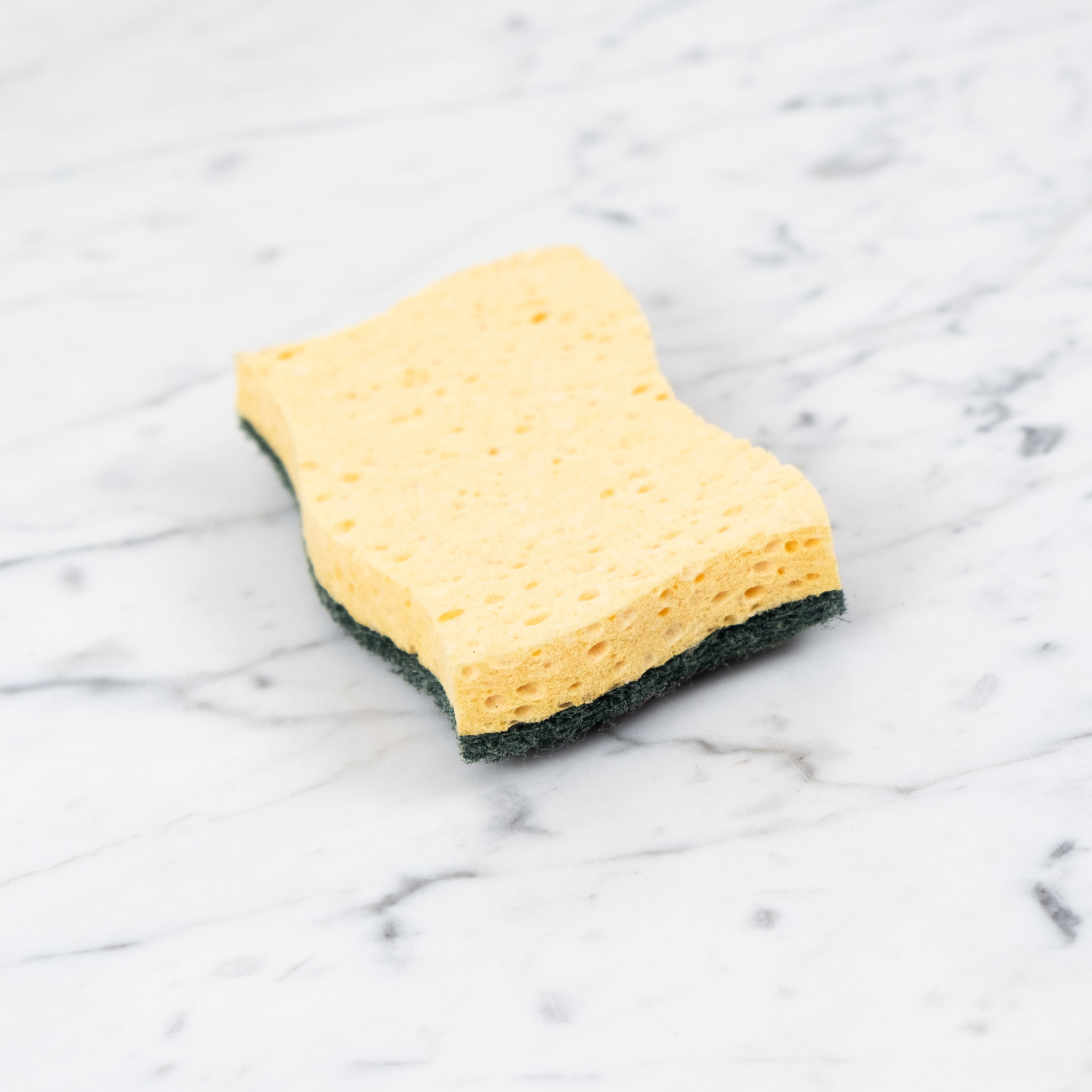 Recycled Vegetable Sponge