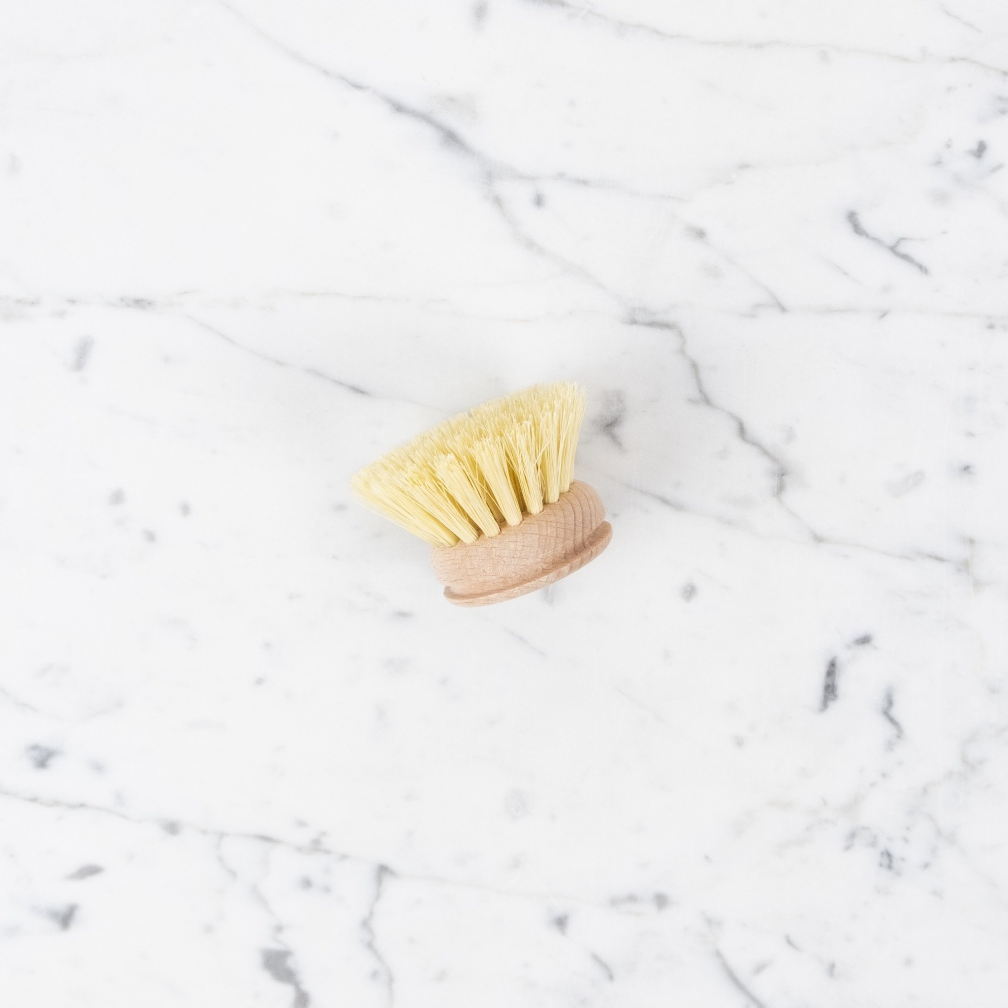 Swedish Everyday Dishbrush with Replaceable Head - Soft Bristle - The  Foundry Home Goods