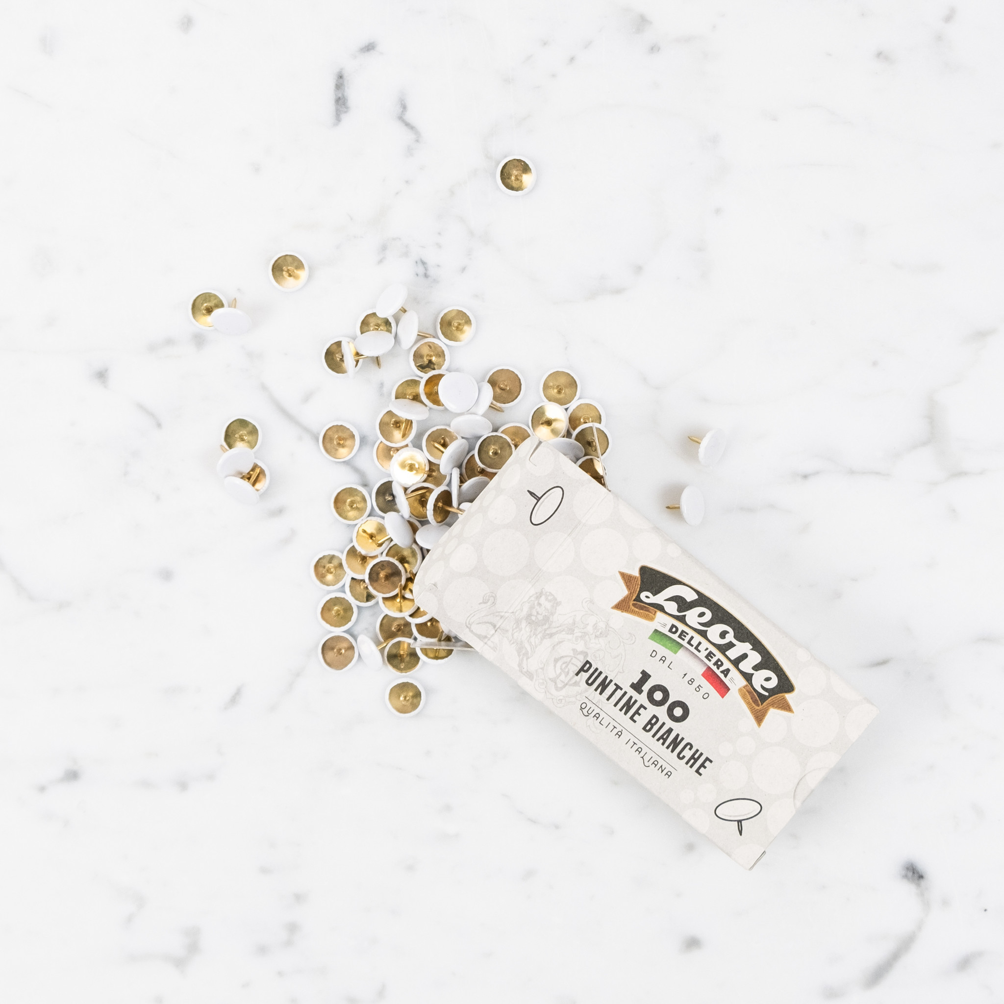 Leone Dell’Era Leone Pushpins - White - Box of 100 Thumb Tacks