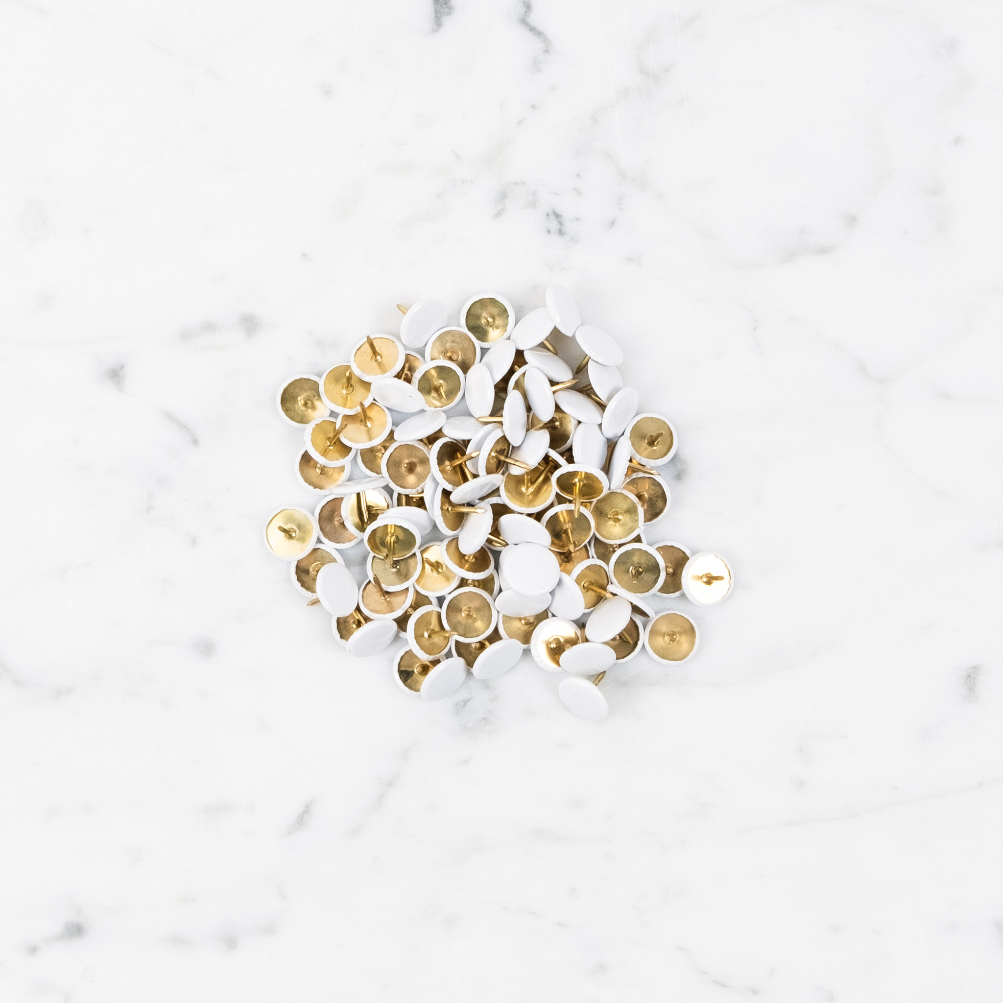 Leone Dell’Era Leone Pushpins - White - Box of 100 Thumb Tacks