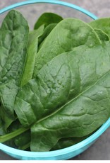 Seed Savers Exchange Seed Savers - Spinach, Bloomsdale (organic)