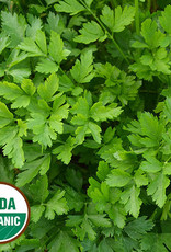 Seed Savers Exchange Giant from Italy Parsley (organic) Seeds