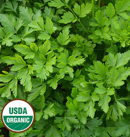 Seed Savers Exchange Seed Savers - Herbs, Giant from Italy Parsley (organic) Seeds