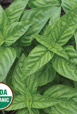 Seed Savers Exchange Seed Savers - Herb, Genovese Basil (organic)- Pack of 25 Seeds