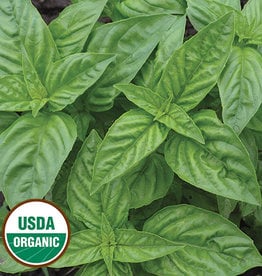 Seed Savers Exchange Herb Seeds - Genovese Basil (organic) Seeds