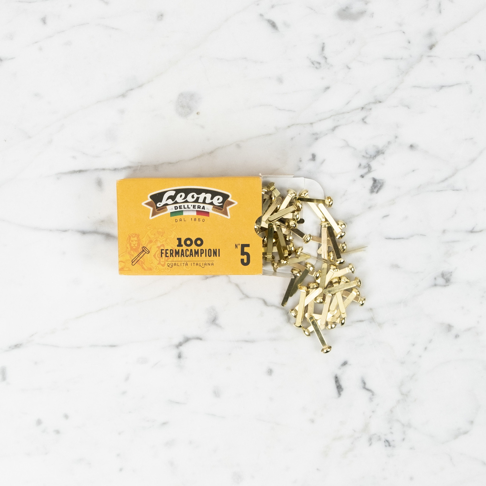 Leone Brass Paper Fasteners - 100 Count - Size 5