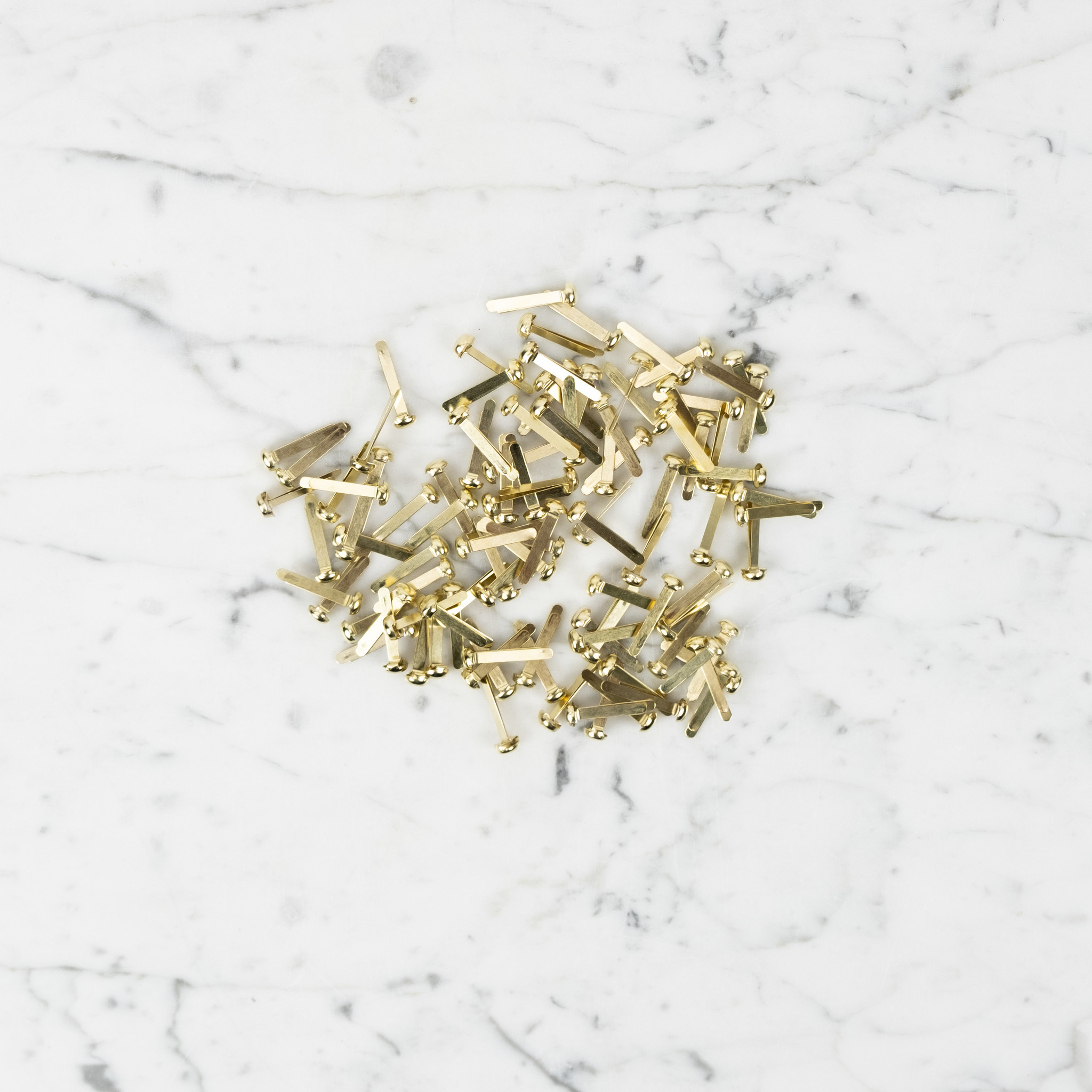 Leone Dell’Era Leone Brass Paper Fasteners - 100 Count - Size 5