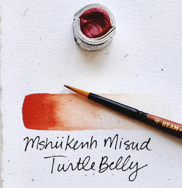 Beam Paints Beam Watercolor Paintstones #55 Mshikenh Misud Turtle Belly Red
