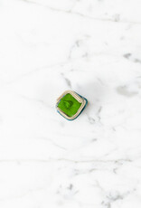 Beam Paints Beam Watercolor Paintstones #07 Ziigwun Azaadibuk'aande Spring Poplar Leaf Green