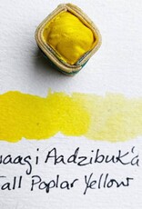 Beam Paints Beam Watercolor Paintstones #08 Dwaagi'Azaadibuk'aande Fall Poplar Yellow