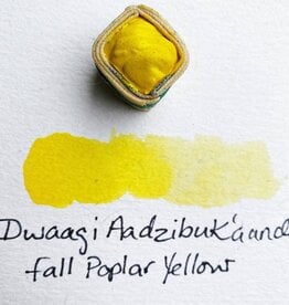 Beam Paints Beam Watercolor Paintstones #08 Dwaagi'Azaadibuk'aande Fall Poplar Yellow