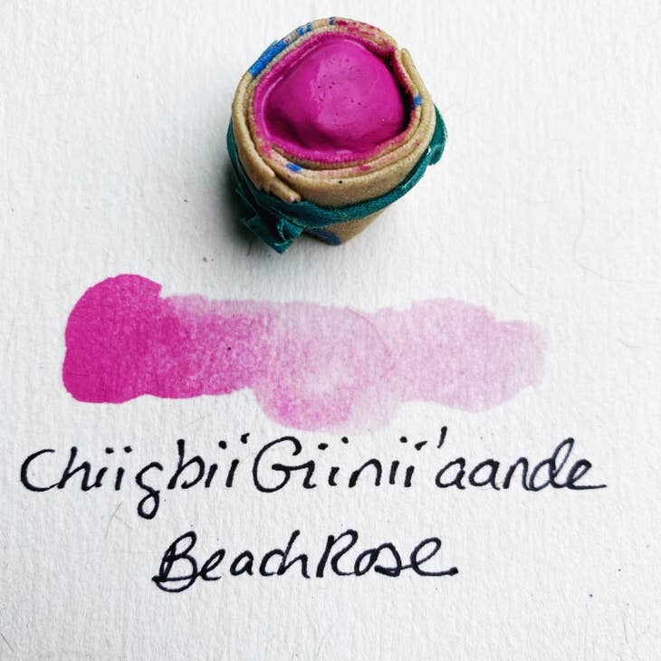Beam Paints Beam Watercolor Paintstones #11 Chiigbii Giinii'aande Beach Rose Pink