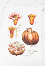 Linen Botanical Print Tea Towel - Pomegranate  - 17" x 24"