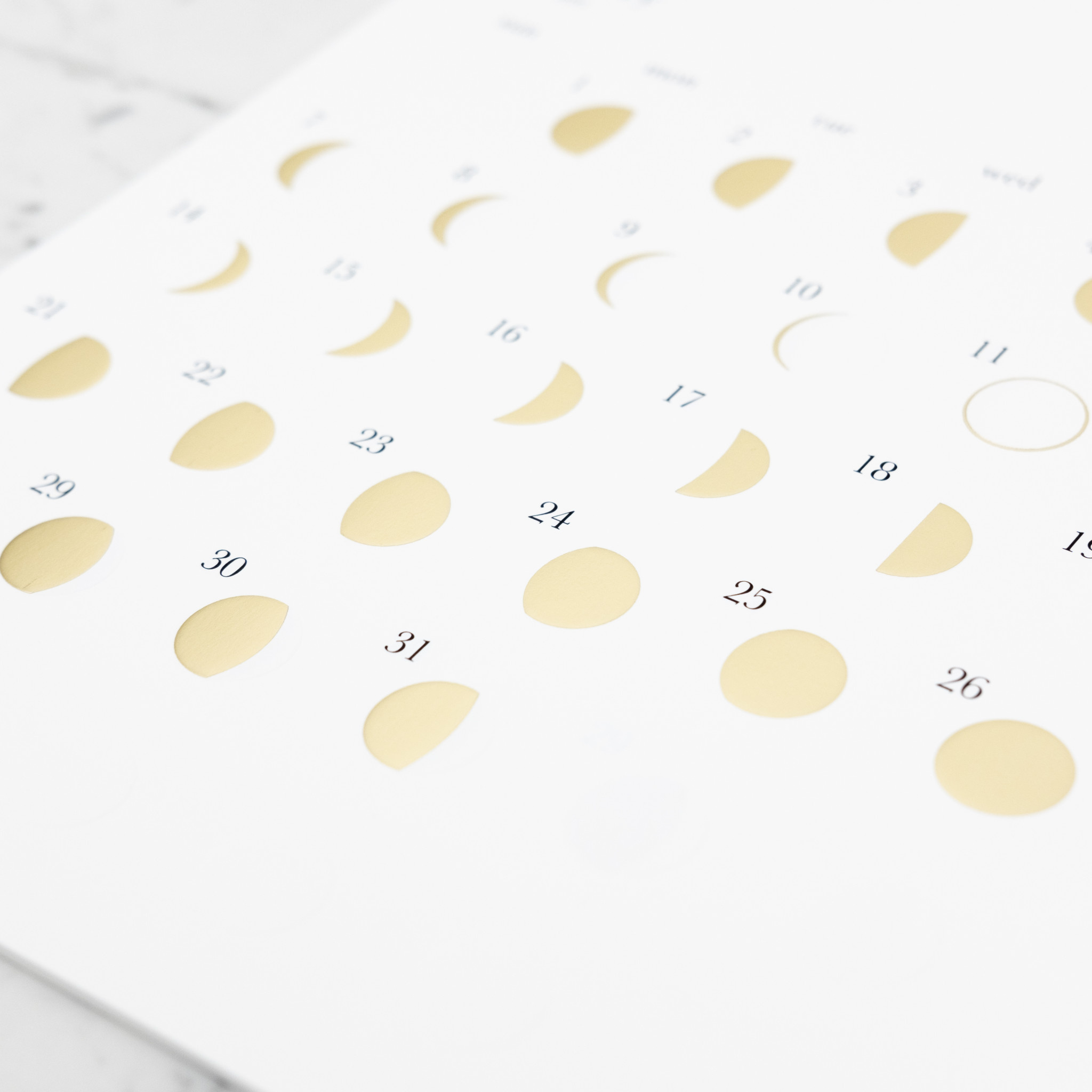 Lunar Moon Cycle Calendar - 2026 - Gold