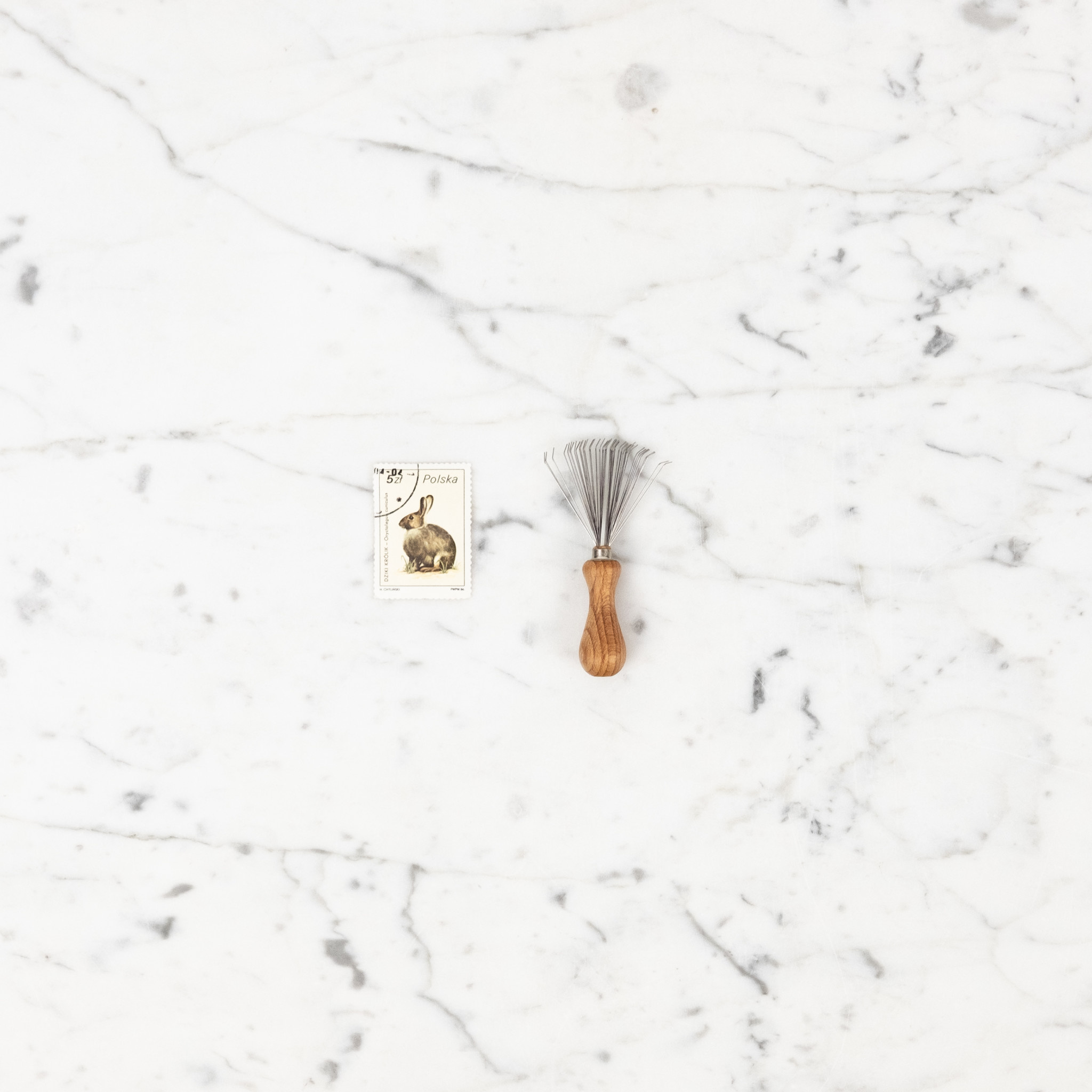 Little Wire Rake Beechwood Comb + Brush Cleaner