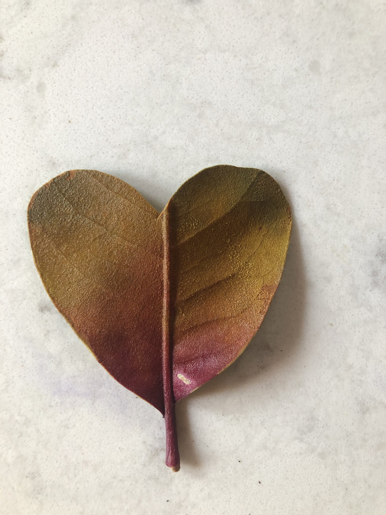 How To: Make Painted Magnolia Leaf Hearts, Valentines + Beyond