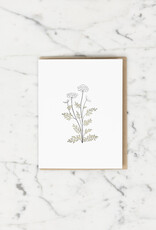 Green Bird Press Queen Anne's Lace Wildflower Letterpress Card
