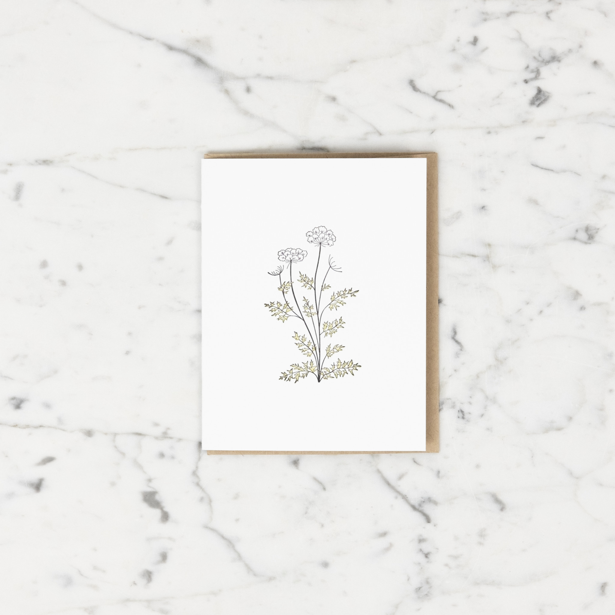 Green Bird Press Queen Anne's Lace Wildflower Letterpress Card