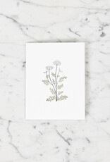 Green Bird Press Queen Anne's Lace Wildflower Letterpress Card
