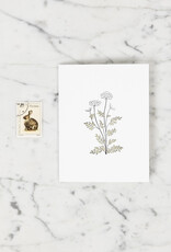 Green Bird Press Queen Anne's Lace Wildflower Letterpress Card