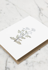 Green Bird Press Queen Anne's Lace Wildflower Letterpress Card