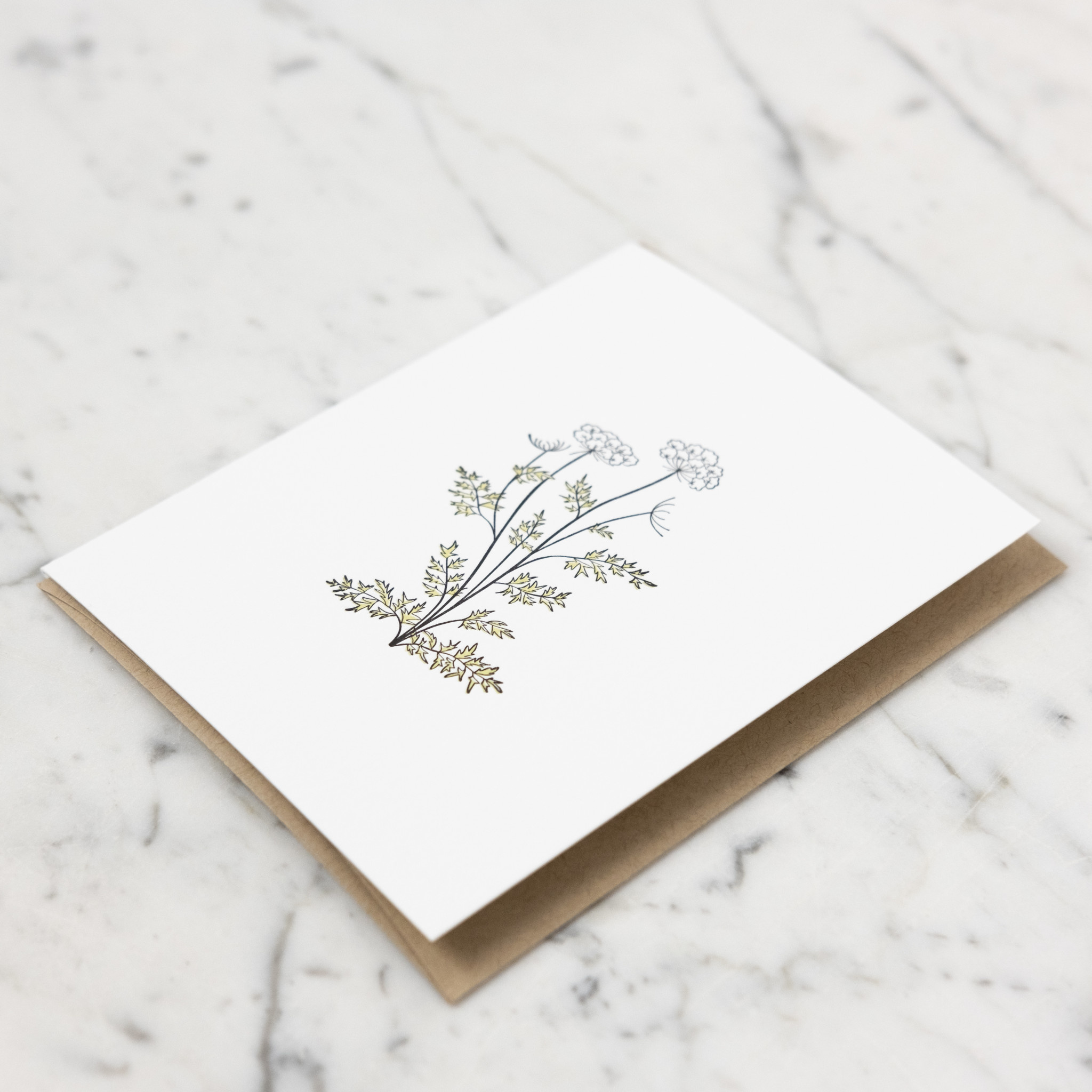 Green Bird Press Queen Anne's Lace Wildflower Letterpress Card